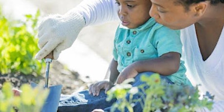 Weekend Family Fun - “Green Thumb”  Class