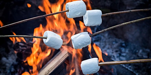 Campfire S'mores and Hot Chocolate at Burton Dassett Hills Country Park primary image