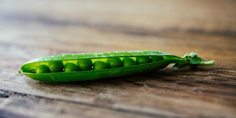 Powering Pea Productivity – Realising the Potential for UK agriculture workshop primary image