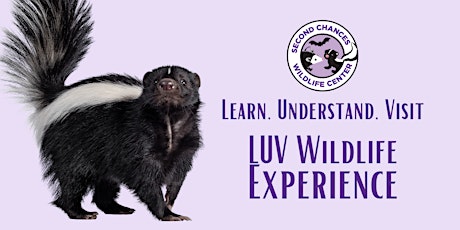 Imagem principal do evento LUV Wildlife Experience-August 11