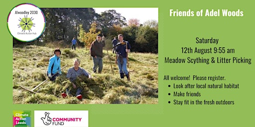 Scything the Meadow and Litter-picking - Friends of Adel Woods  primärbild
