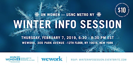 UN Women Metro NY Chapter Winter Info Session primary image