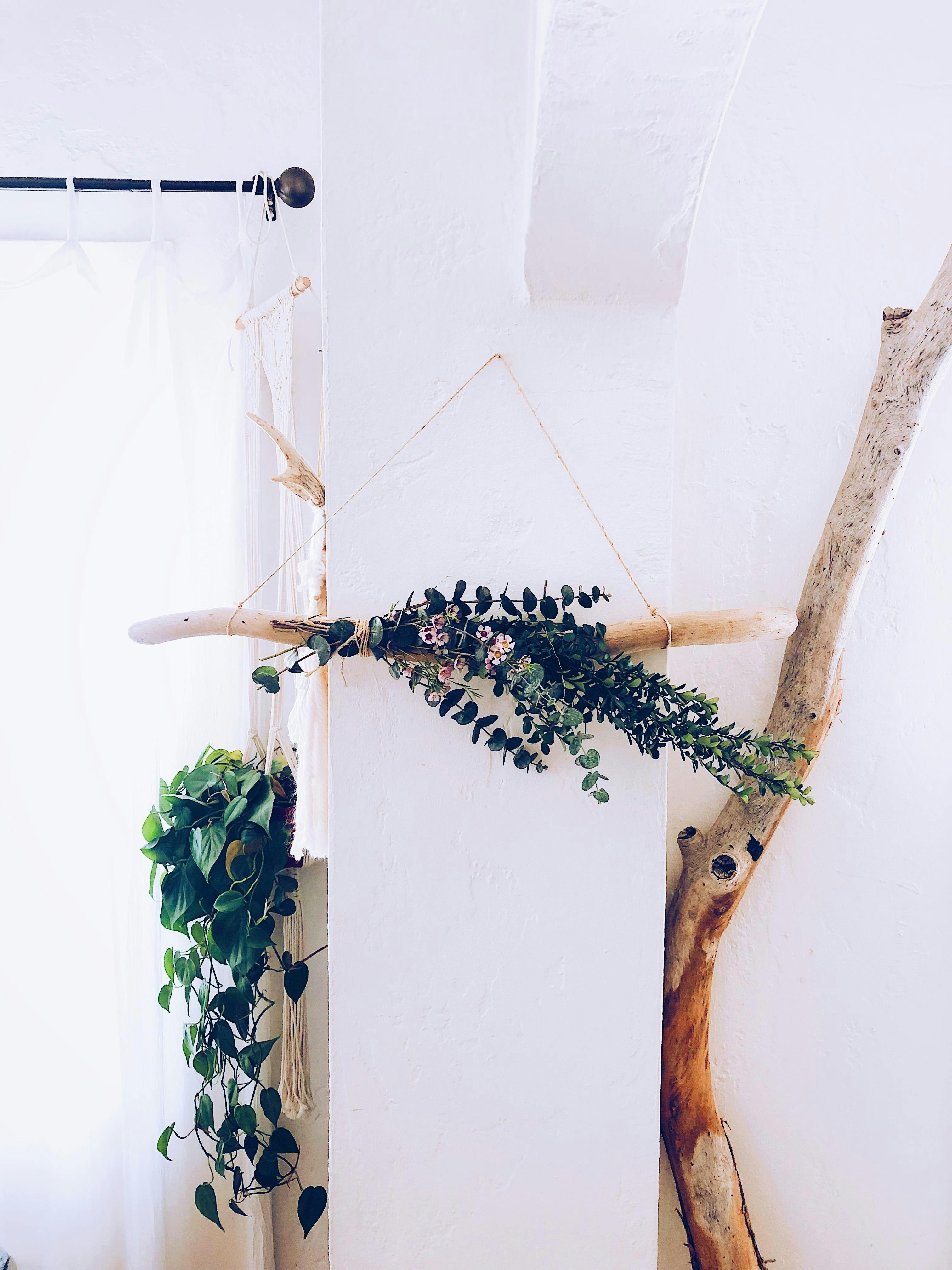 Floral Wall Hanging Workshop