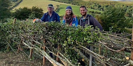 Hedgelaying course primary image
