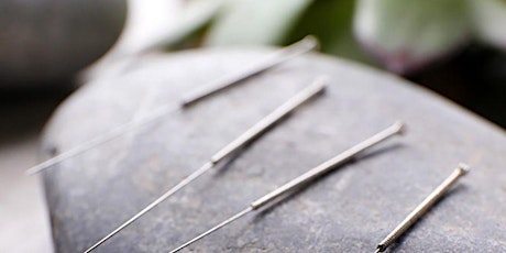 Clear Path for Veterans Wellness program: Acupuncture (Feb 7) primary image