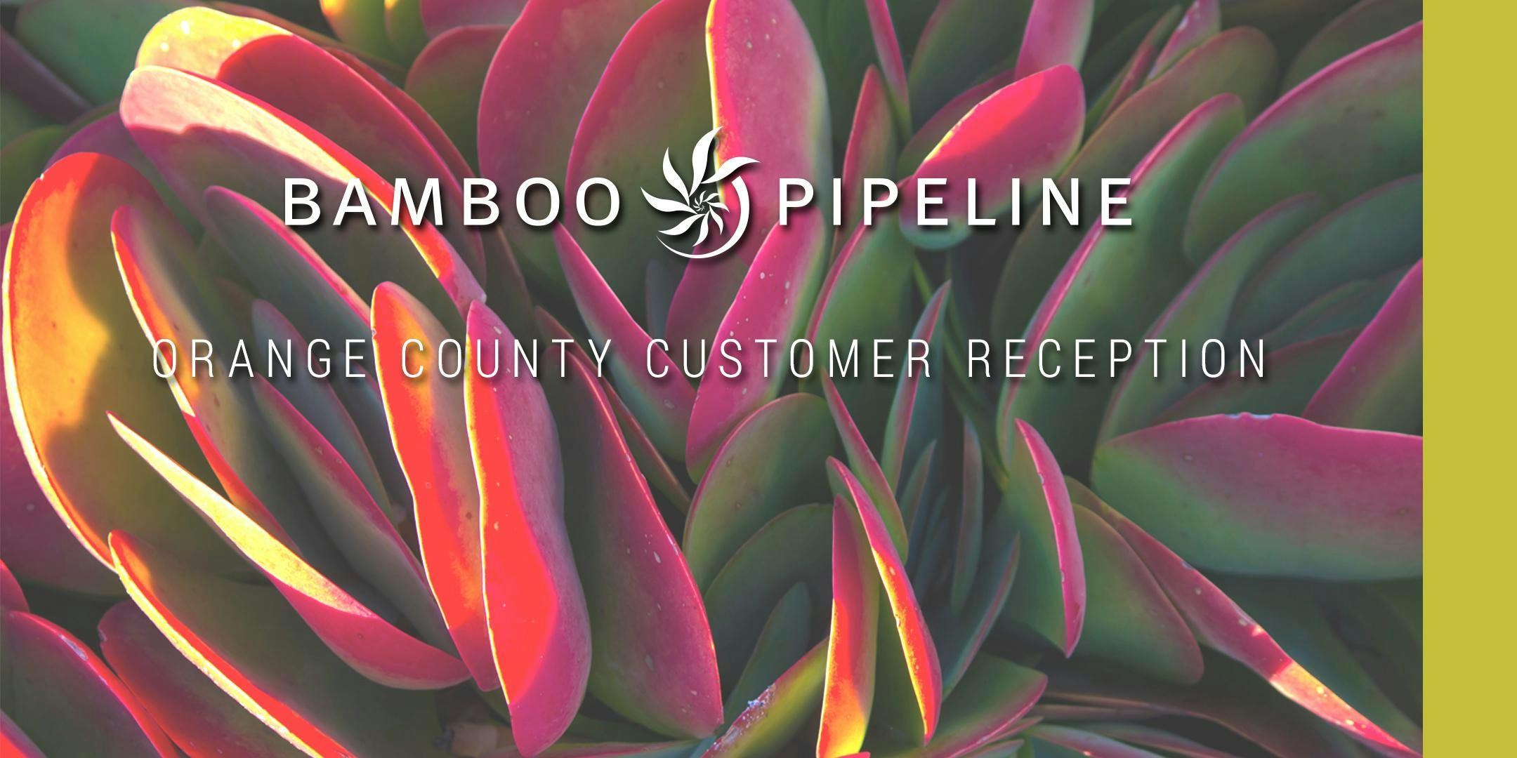 Bamboo Pipeline Customer Reception - Orange County