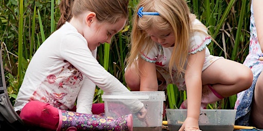 Family Pond Dipping at Tyland Barn primary image