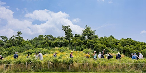 Governors Island Nature Walk: April primary image