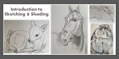 ONLINE: Introduction to Sketching and Shading primary image