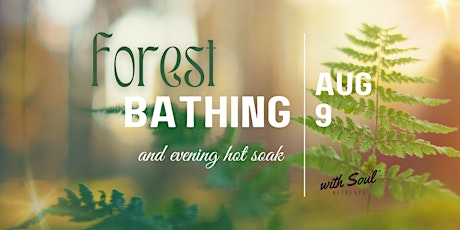 Forest Bathing Walk & Evening Starlit Soak: : Connect with Nature & Soul primary image