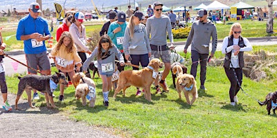 Imagem principal do evento 2024 Chase Away Canine Cancer - Dirty Dog 5K