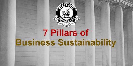7 Pillars of Business Sustainability 2 Day Masterclass primary image
