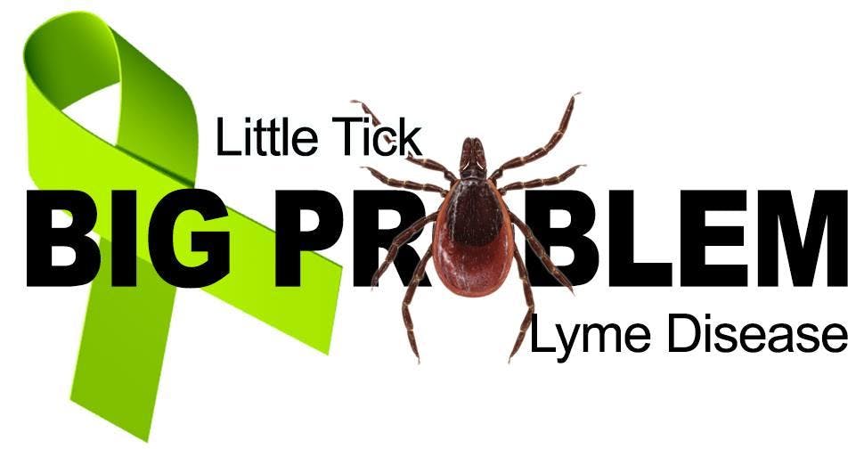 3rd Annual Lyme disease Symposium