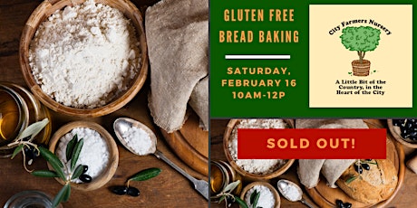 Gluten Free Bread Baking primary image