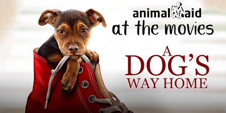 Animal Aid at the movies - A Dogs Way Home primary image