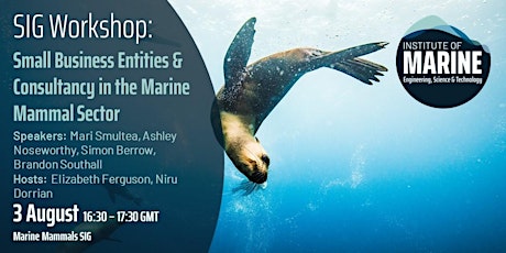 Workshop  Small Business Entities & Consultancy in the Marine Mammal Sector primary image