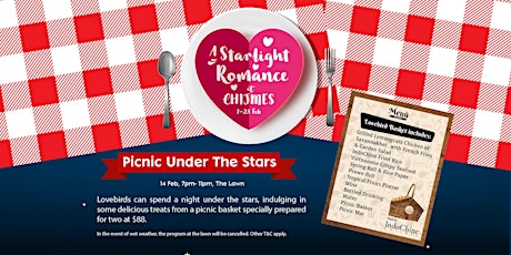 Picnic Under The Stars primary image