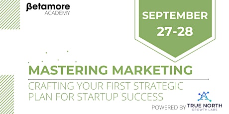 Immagine principale di Mastering Marketing: Crafting Your First Strategic Plan for Startup Success 