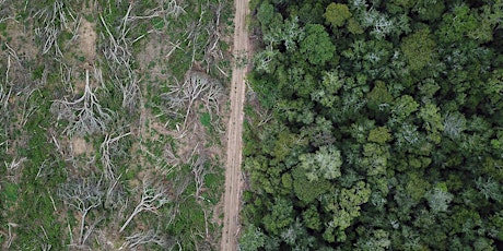 Environmental NGOs in the Crosshairs in Brazil (Berkeley) primary image