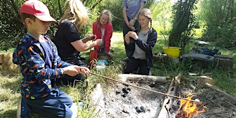 Whittle & Spark Summer Holiday Forest School Adventure Days primary image