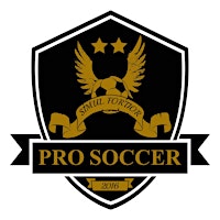 Pro+Soccer+Youth+Development