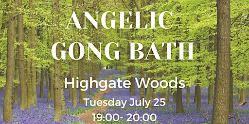 Gong Bath in Nature - Highgate Woods - North London primary image