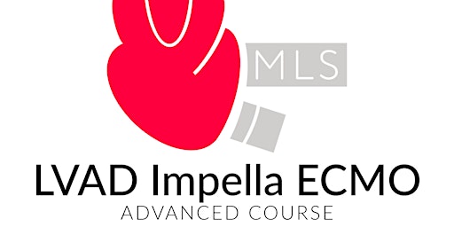 MLS Advanced Course primary image