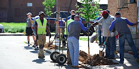 Tree Planting and Trash Pick-Up with Baltimore Tree Trust (May 4) primary image