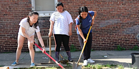 Tree Planting and Trash Pick-Up with Baltimore Tree Trust (May 11) primary image