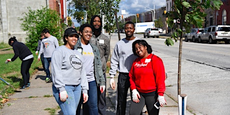 Tree Planting and Trash Pick-Up with Baltimore Tree Trust (May 18) primary image