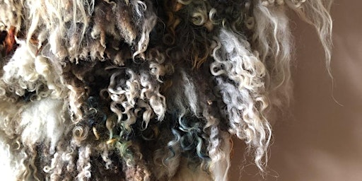 Wool of the World: Featuring the Collection at Wool Mountain primary image