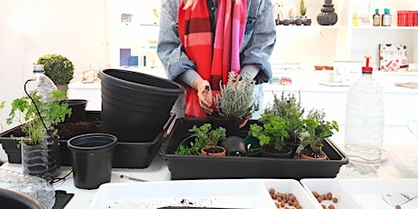 Make your own indoor hanging gardens with air-purifying houseplants primary image