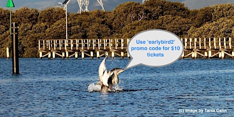 SOLD OUT - Snorkel Port River Dolphin Sanctuary - 10th March - 'It Came From The Harbour' Snorkel Day primary image