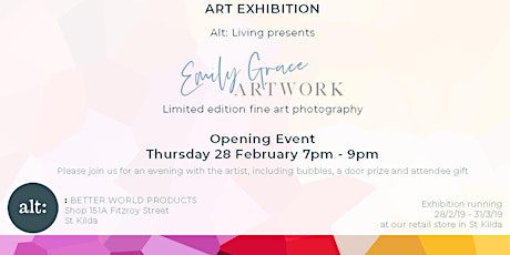 Emily Grace Artwork Opening Exhibition primary image