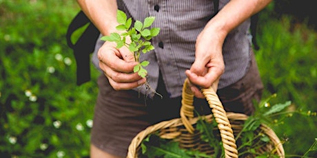 TOUR: PHOTOGRAPHIC FORAGE primary image