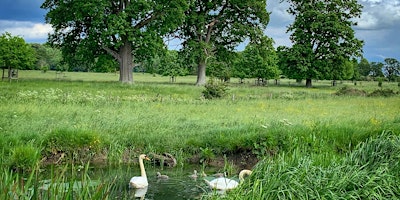 Discover Oxfordshire's Wetlands: Coleshill guided walk primary image