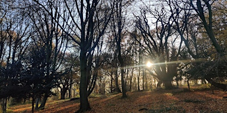 Immagine principale di Discover the Northern Forest - Epping Forest Guided Walk 
