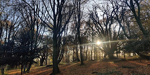 Discover the Northern Forest - Epping Forest Guided Walk primary image