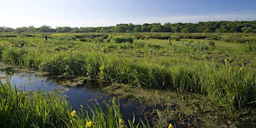 Imagem principal de Monthly work party at Thorpe Marshes