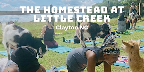 Imagem principal do evento Goat Yoga @ The Homestead at Little Creek