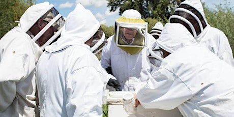 Beekeeping for Beginners February 23, 2019