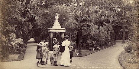 Historic Tour of the Royal Botanic Garden Sydney primary image