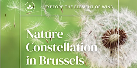 Imagem principal do evento Nature Constellation in Brussels - Exploring the Element of Wind