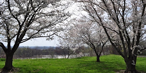 Imagem principal do evento Park Shelter at North Esplanade Park - Dates in January-March 2024