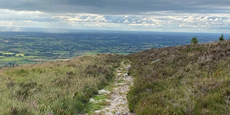 Church  Mountain ,  Hollywood,  Co.  Wicklow,   Looped  Walk. primary image