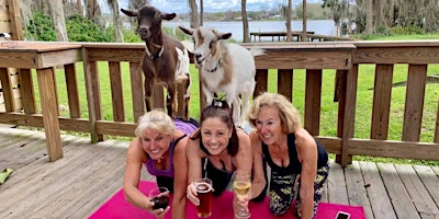 Imagem principal do evento Goat Yoga Tampa lakeside @ In the Loop Brewing in Land O Lakes; 5/19/24