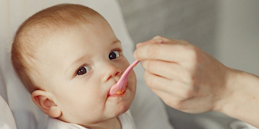 Imagem principal do evento Introducing Baby to Solids