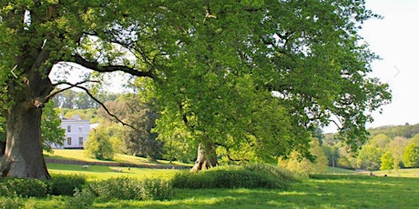 Imagem principal de Walking with Cameras around Parke at Bovey Tracey