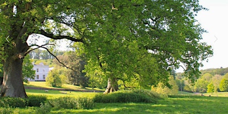 Walking with Cameras around Parke at Bovey Tracey primary image