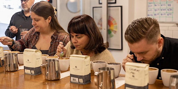 Frothy Monkey Coffee Cupping